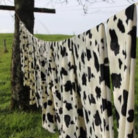 Morvan1 1