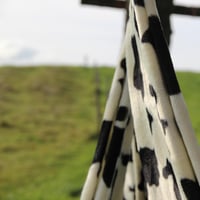 Vache
